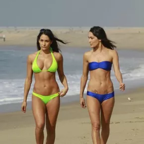 Bella Twins