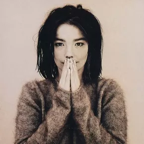 Bjork