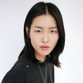 Liu Wen